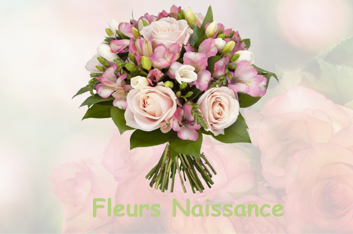 fleurs naissance TAVAUX