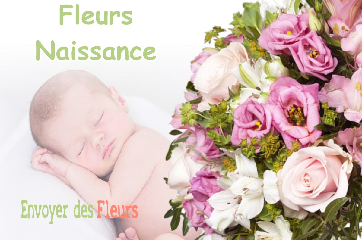 lIVRAISON FLEURS NAISSANCE à TAVAUX